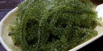 upload/files/herbal medicine/spirulina.jpg